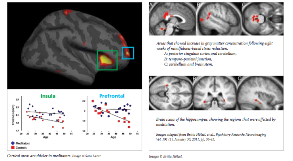 5 Things Neuroscientists Do to Maintain a Healthy Brain